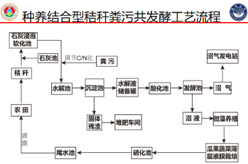 δ-12.jpg